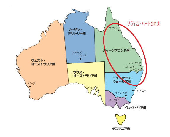 ���ͤλ��ϥץ饤�ࡦ�ϡ���